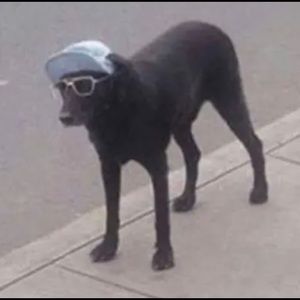 Meet your Posher, Leah